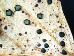 :-Coccomyces dentatus